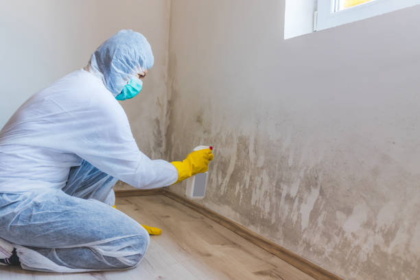 Hvac And Air Duct Mold Remediation inspection of HVAC system in Jbsa Ft Sam Houston